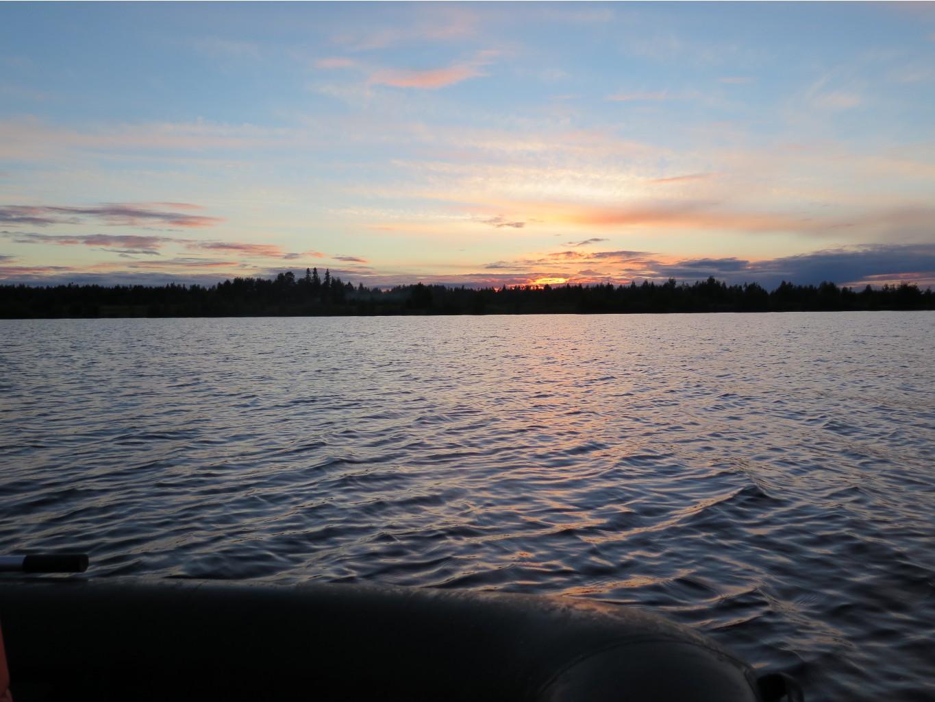 IMG 0231.JPG