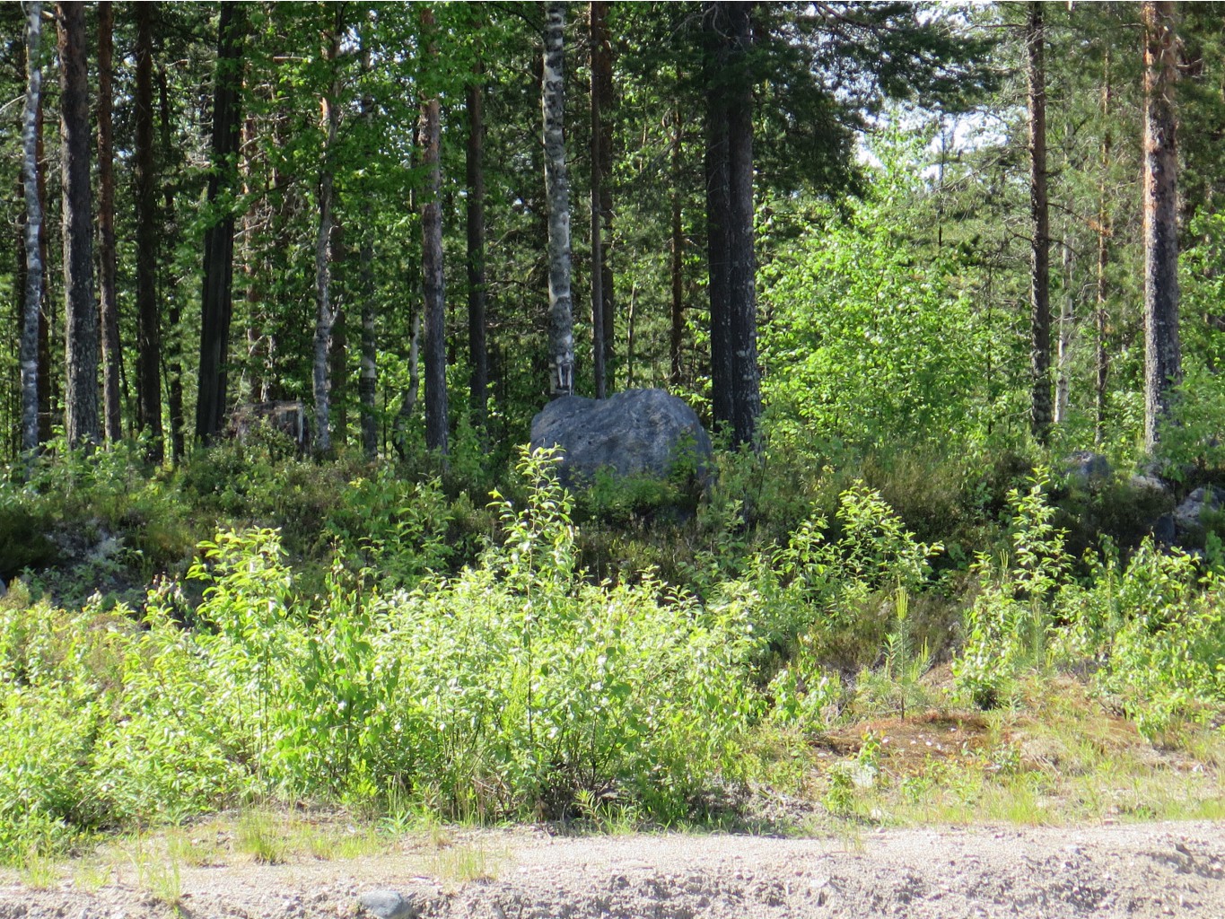 IMG 0105.JPG