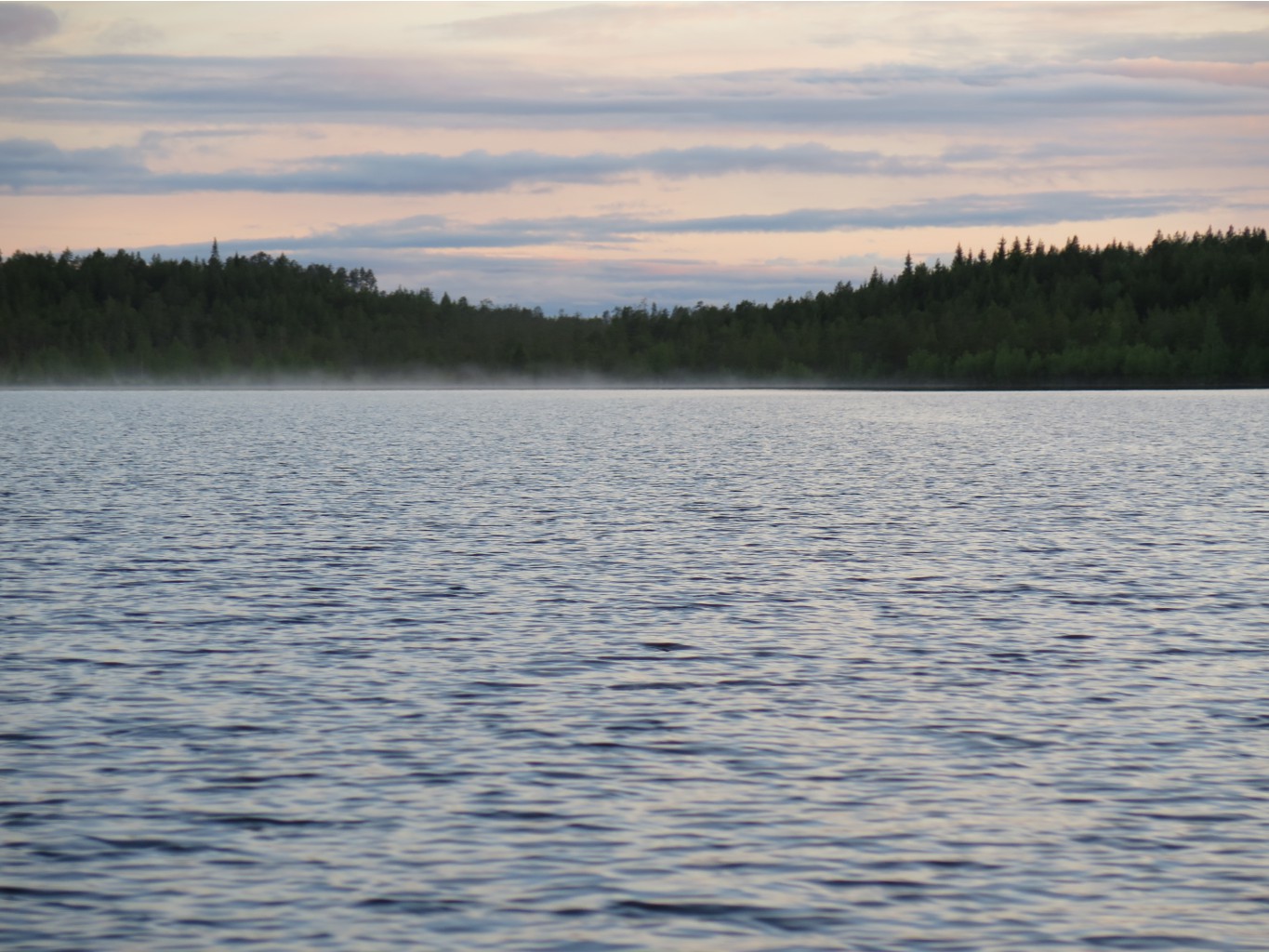 IMG 0226.JPG