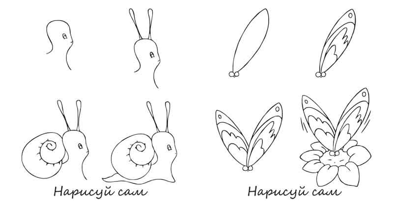 15-3201    5+  -5-6 dop.jpg