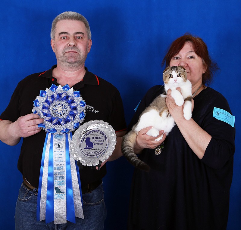 118999869-0 123a07 6785717d orig.jpg