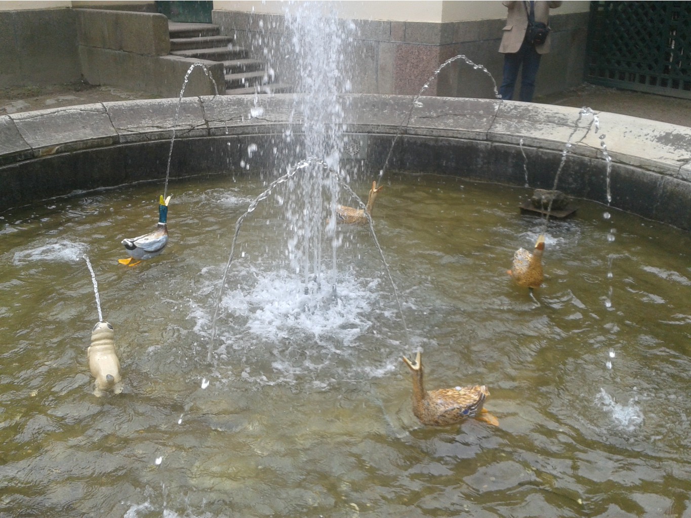 20150602 122658.jpg