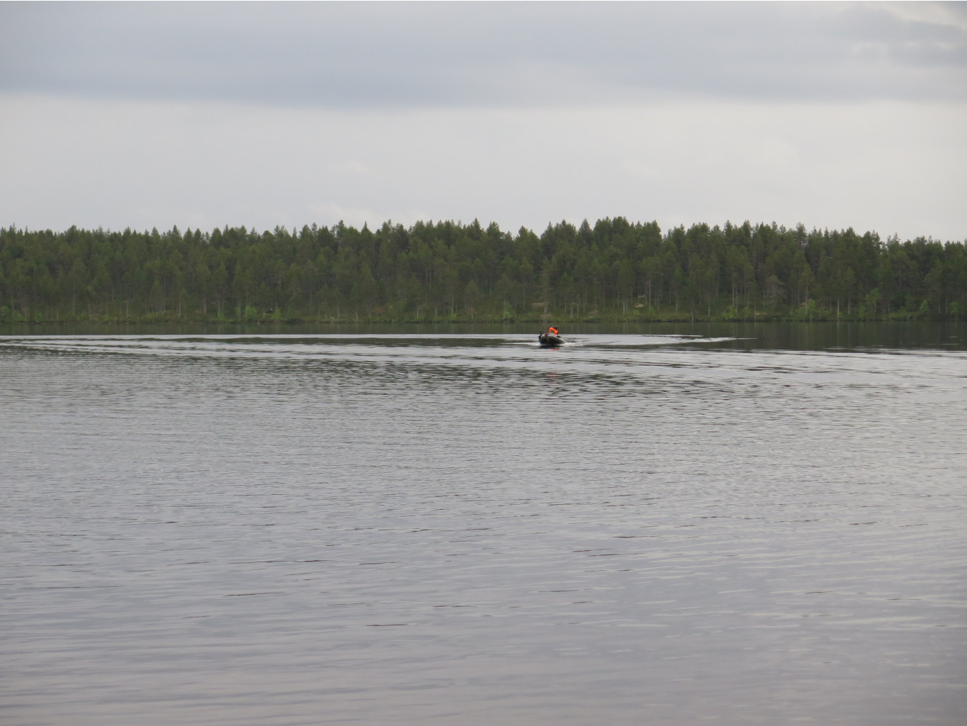 IMG 0252.JPG