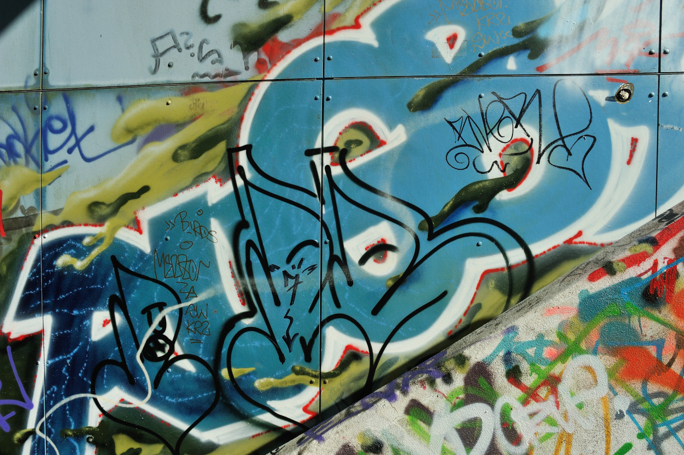 DSC 0626.JPG