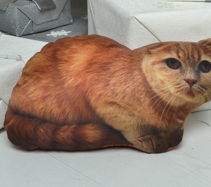 ПОДУШКА С ФОТОПЕЧАТЬЮ РЫЖИЙ БРИТАНЕЦ.jpg