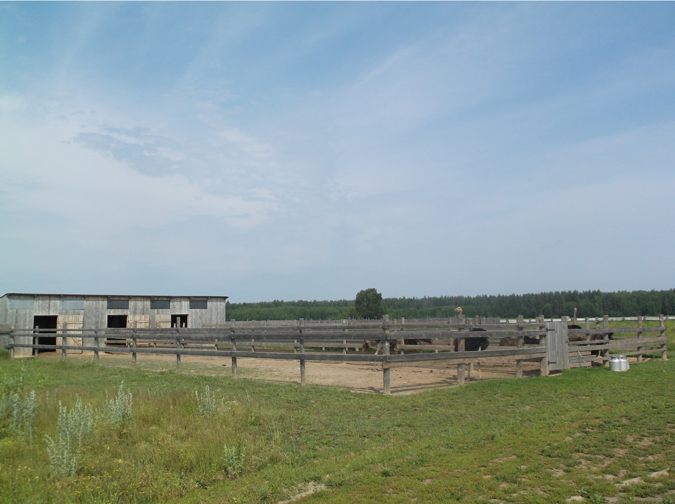 DSCF9614.JPG