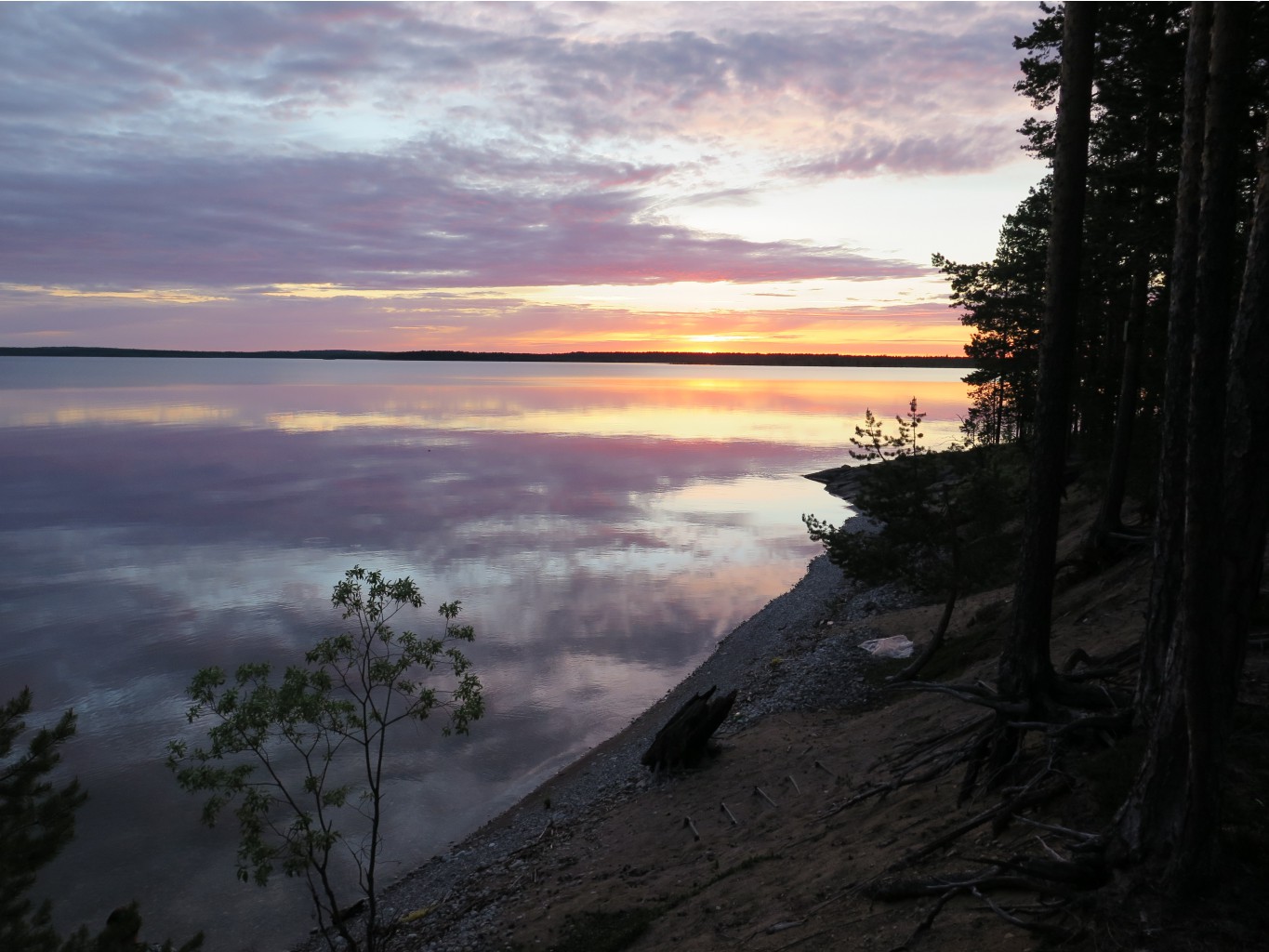 IMG 0147.JPG