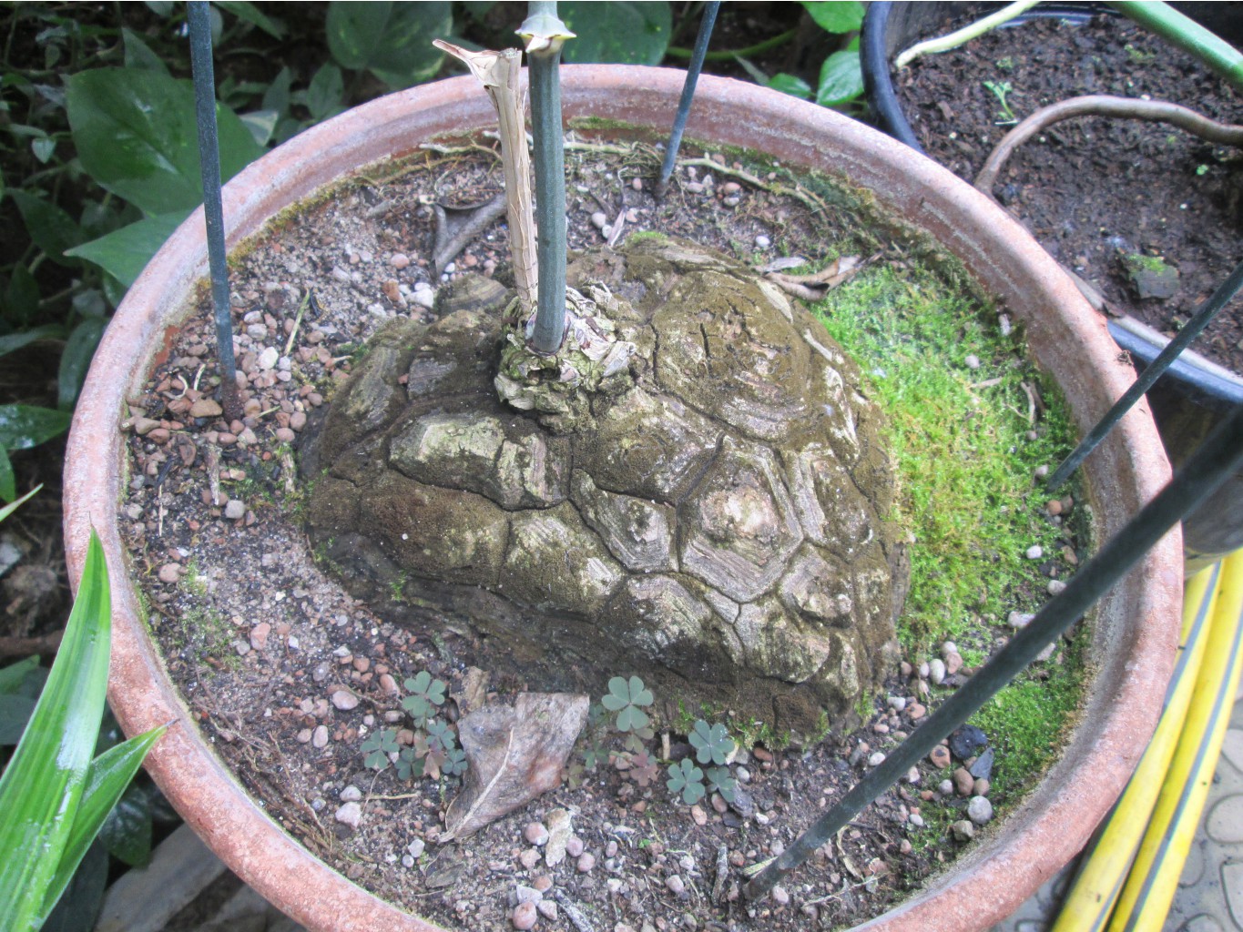 IMG 3320.JPG
