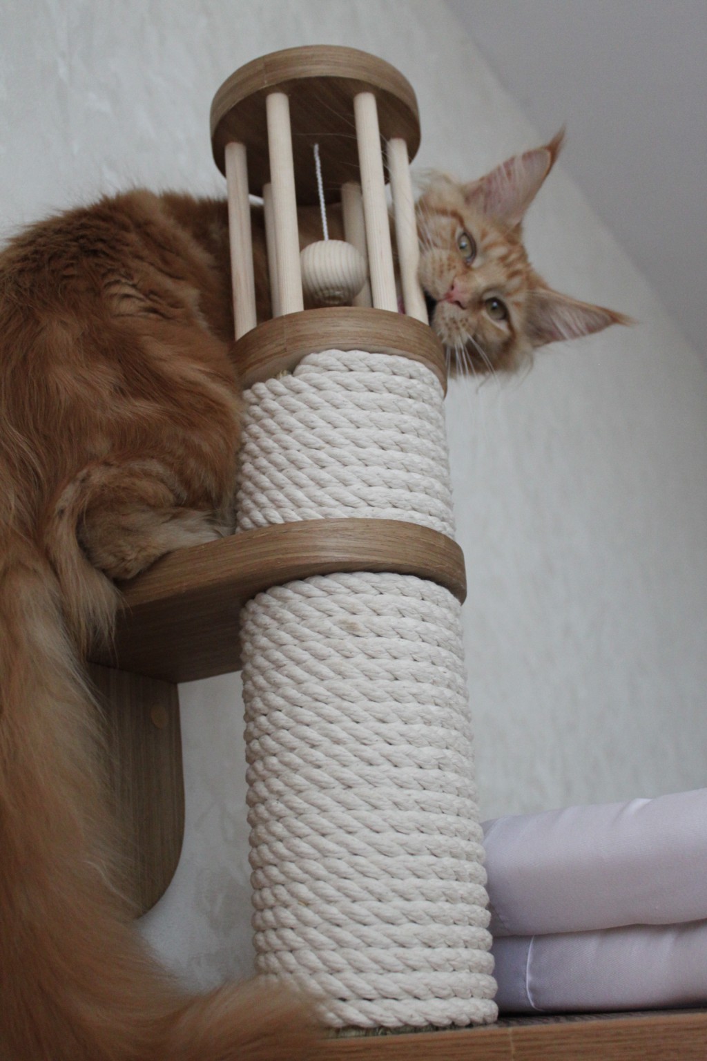 IMG 2234.JPG