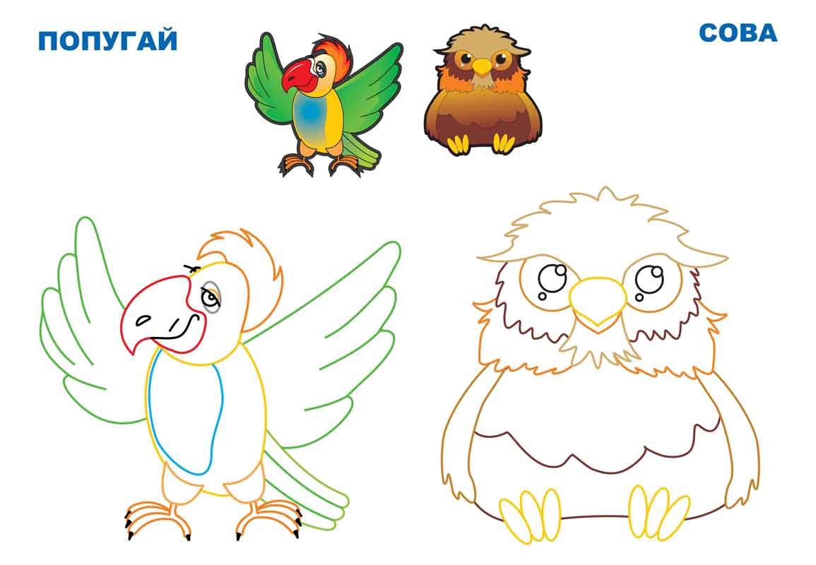 15-2705  -! (  )  dop.jpg