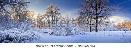 Stock-photo-winter-panorama-of-a-park-under-snow-at-sunny-day-89645704.jpg