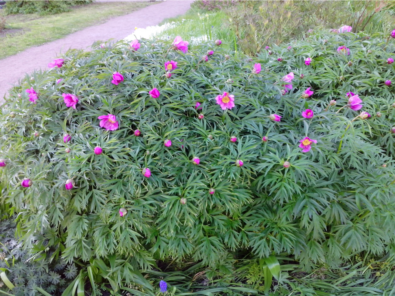 IMG 20150524 185527.jpg