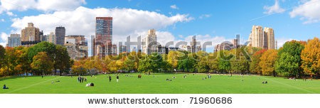 Stock-photo-new-york-city-manhattan-skyline-panorama-viewed-from-central-park-with-cloud-and-blue-sky-and-71960686.jpg