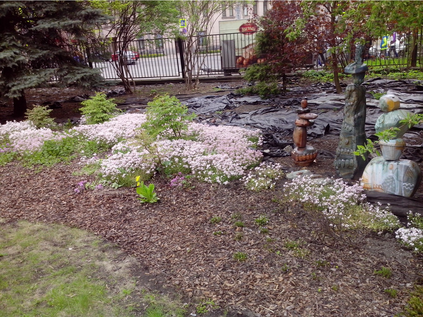 IMG 20150517 134533.jpg