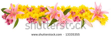 Stock-photo-floral-panorama-13335355.jpg