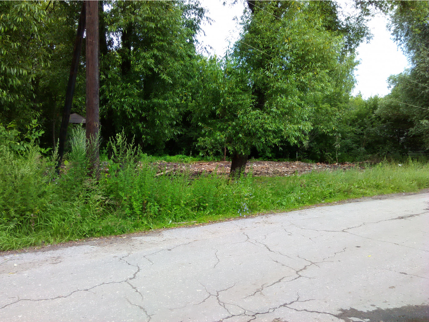 IMG 20150709 104305.jpg