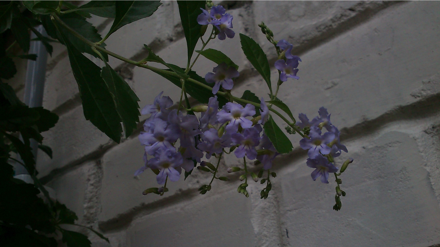 2015-06-30 12.48.30.jpg