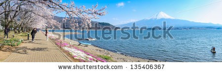 Stock-photo-kawaguchi-japan-apr-cherry-blossom-festival-at-lake-kawaguchi-april-in-japan-135406367.jpg