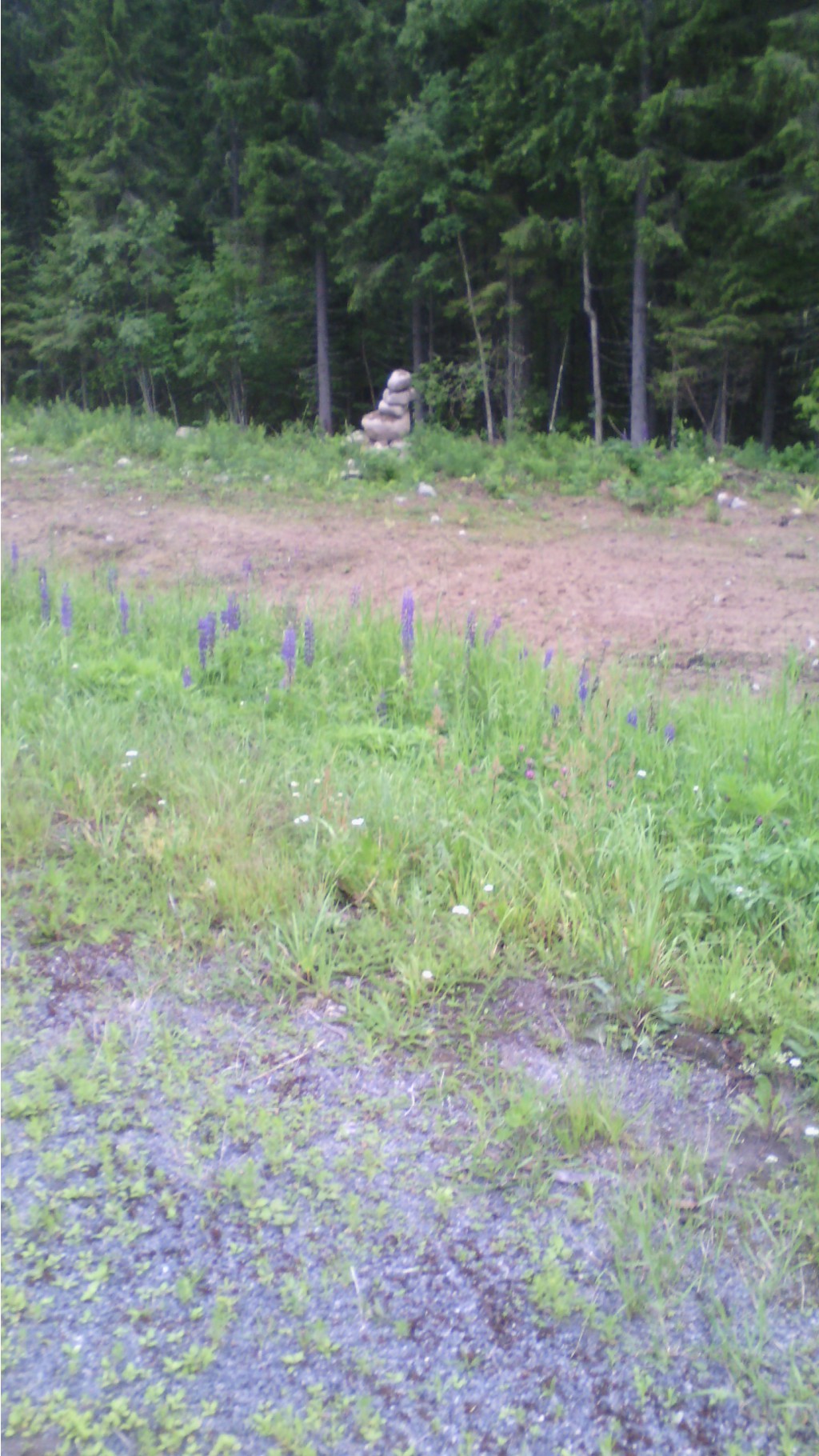 IMG 20150704 200950.jpg