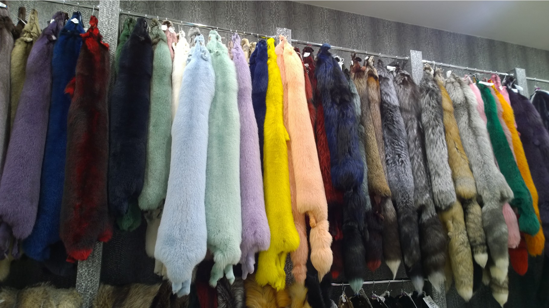 WP 20150612 14 51 54 Pro.jpg