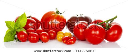 Stock-photo-tomatoes-with-basil-isolated-on-white-background-141225067.jpg