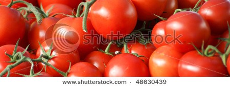 Stock-photo-tomatoes-48630439.jpg