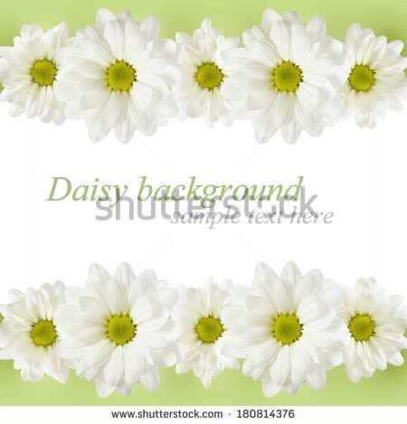 Stock-photo-white-background-with-daisy-flowers-lines-180814376.jpg