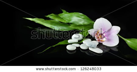 Stock-photo-spa-still-life-with-zen-stone-orchid-flower-and-bamboo-for-banner-126248033.jpg