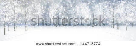 Stock-vector-vector-of-winter-landscape-snowfall-in-forest-144718774.jpg