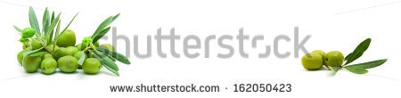 Stock-photo-tasty-olives-panorama-162050423.jpg