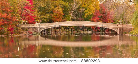 Stock-photo-panorama-of-fall-colors-at-bow-bridge-in-central-park-new-york-city-88802293.jpg