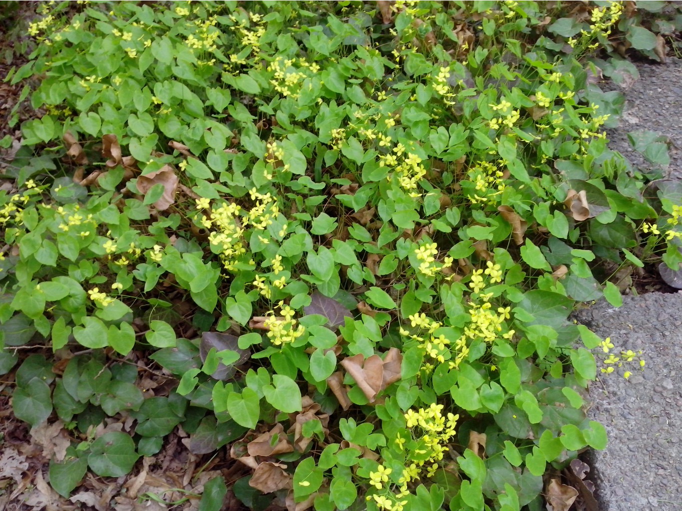 IMG 20150517 134132.jpg
