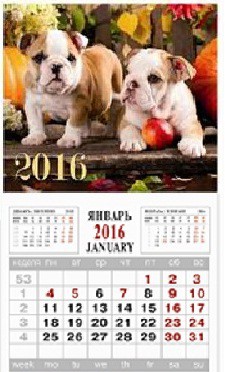 39578_    2016,  93163 _26,30 +%.jpg