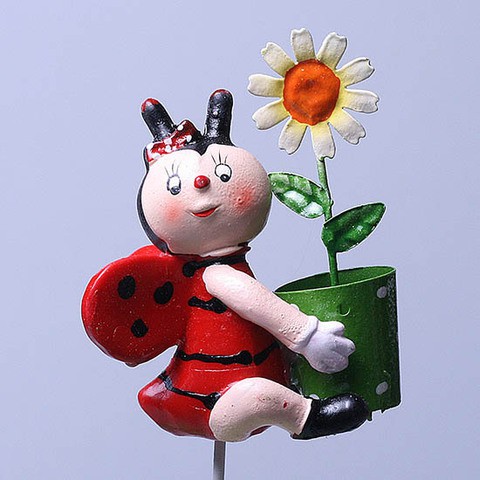  KXY 13A 6286   65   35