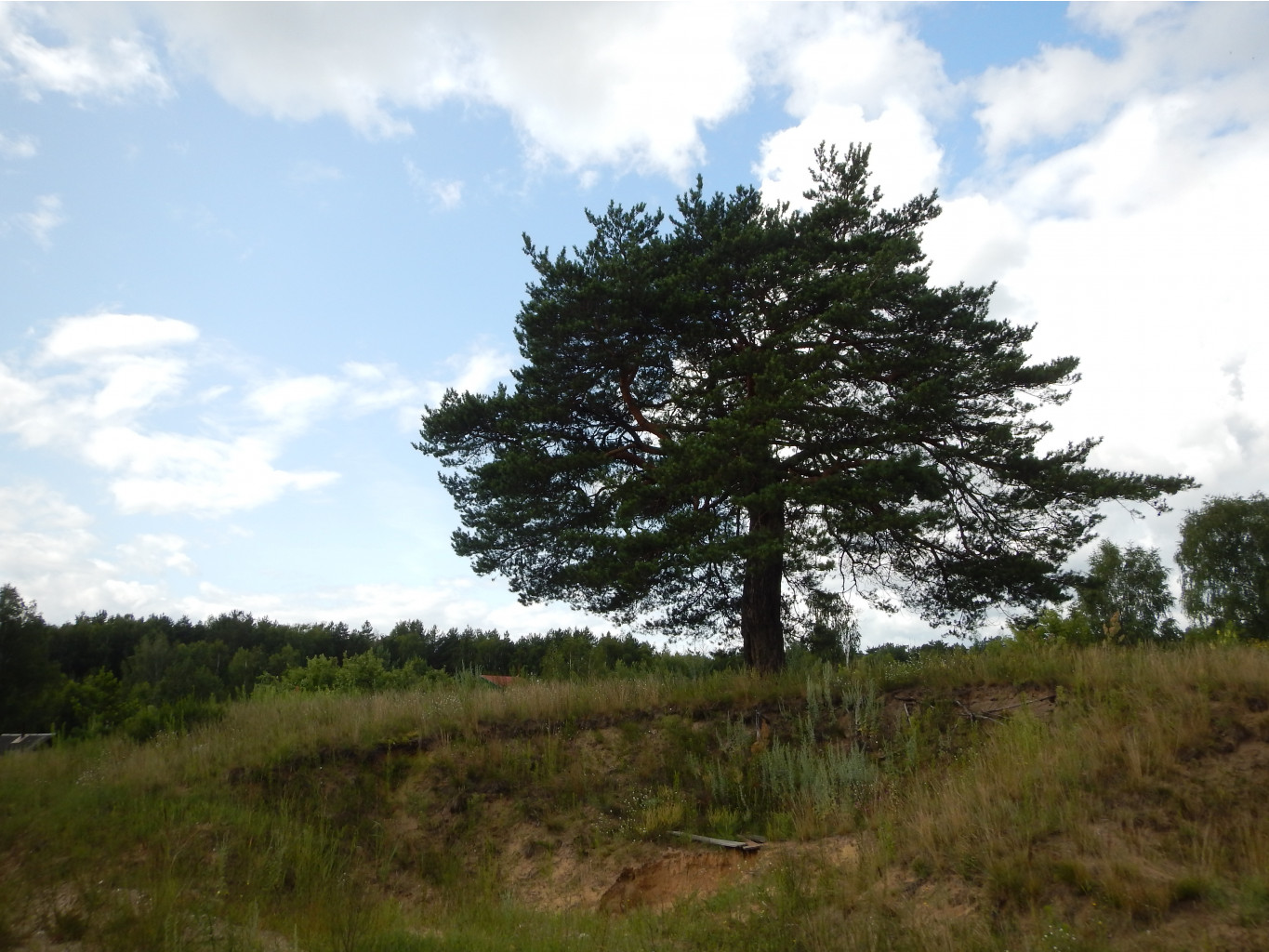 DSCN0474.JPG