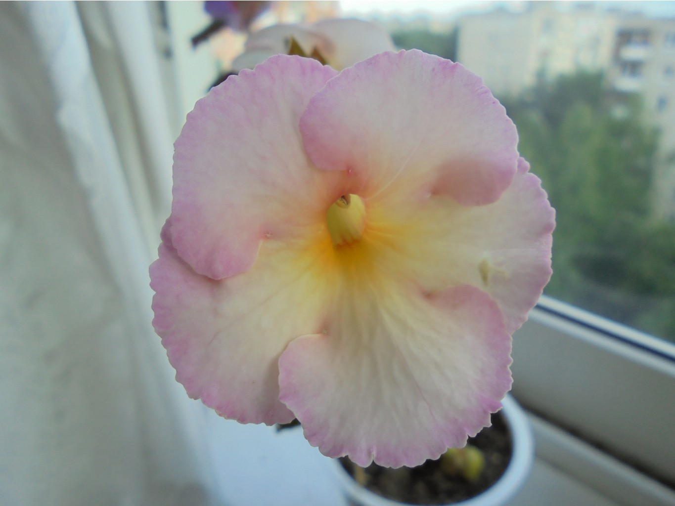 DSC01355.JPG