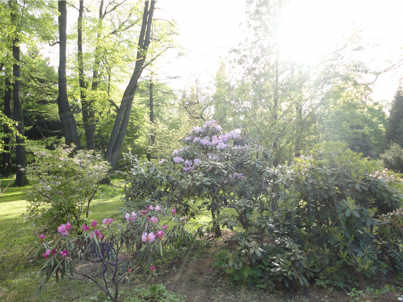 DSC07408.JPG