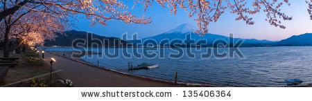 Stock-photo-kawaguchi-japan-apr-cherry-blossom-festival-at-lake-kawaguchi-april-in-japan-135406364.jpg