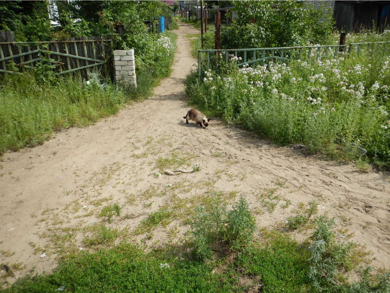 DSCN0493.JPG