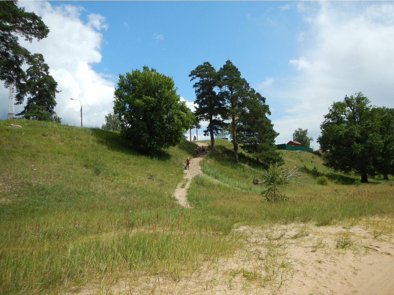 DSCN0480.JPG