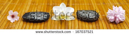 Stock-photo-panorama-of-japanese-zen-garden-with-stones-and-blooms-in-row-167037521.jpg