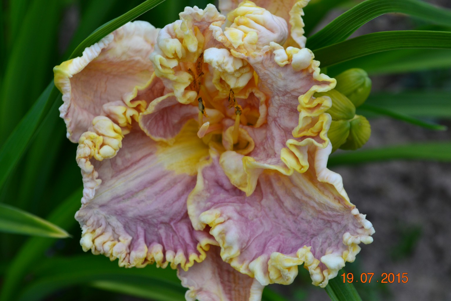 DSC 0465.JPG