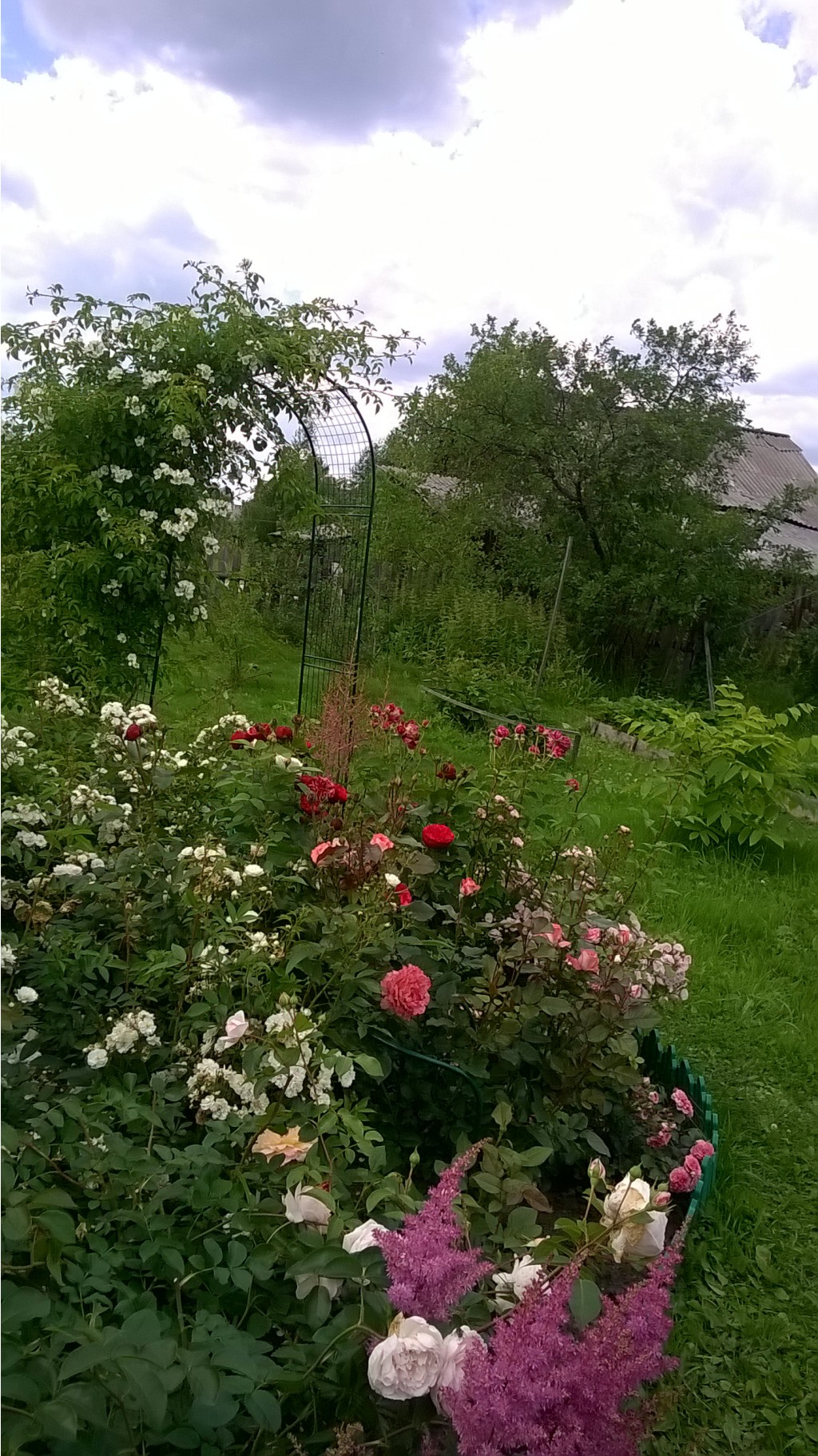 WP 20150704 14 46 25 Pro.jpg