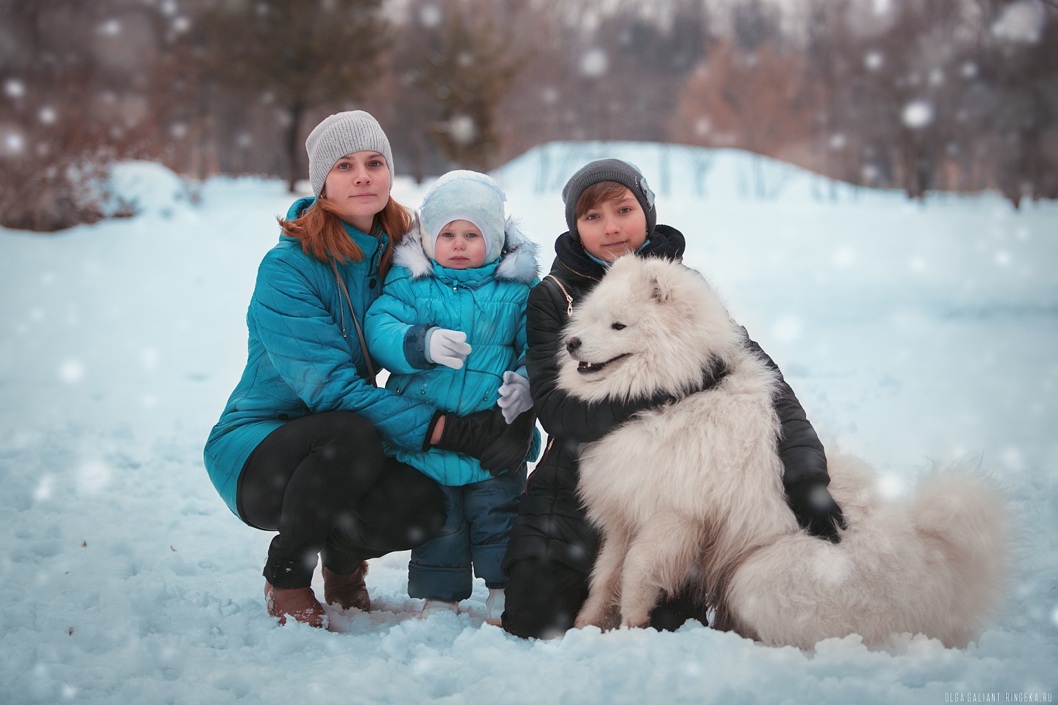 Samoyed (11).jpg