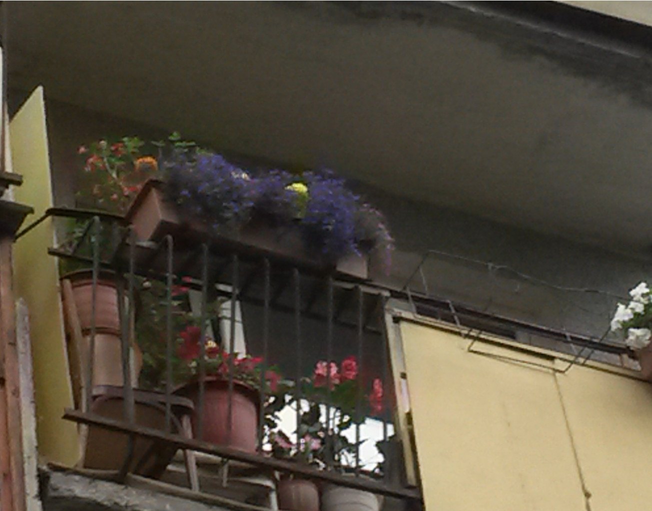 20150713 173410 cr.jpg