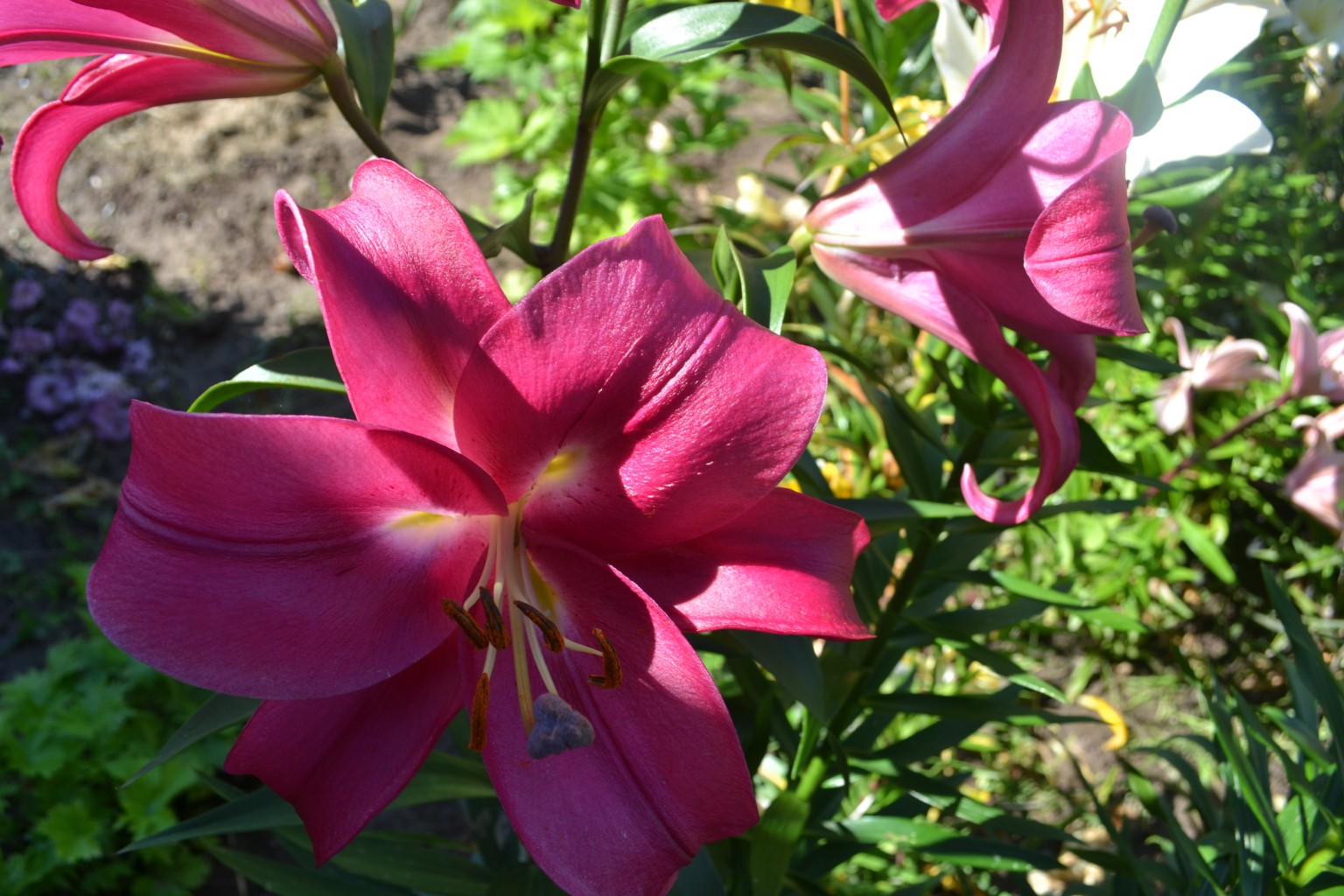  2015-27 068.JPG