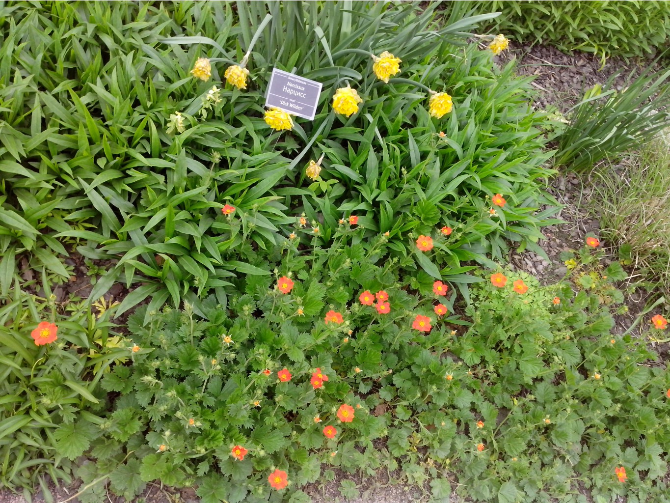 IMG 20150517 140649.jpg