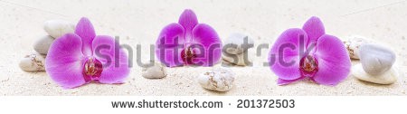 Stock-photo-panorama-with-orchids-and-zen-stones-in-the-sand-201372503.jpg