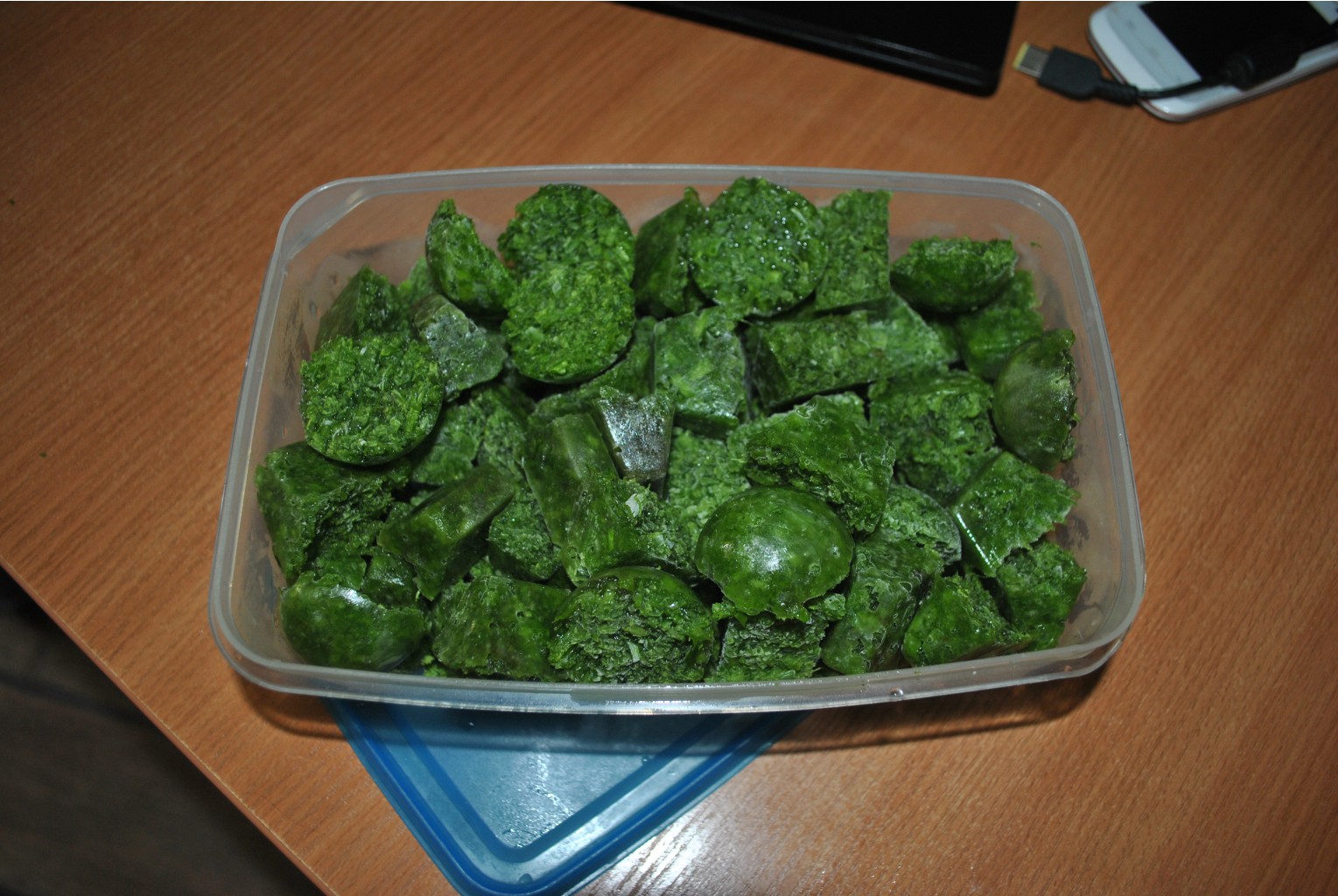 DSC 0001.JPG