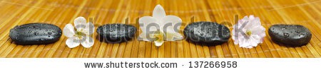 Stock-photo-zen-garden-with-flowers-and-stones-in-line-137266958.jpg